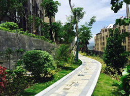 ��֦��Զ��۾���ͥ