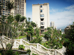 ��֦��Զ��۾���ͥ