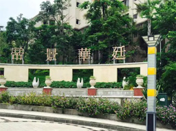 ��֦��Զ��۾���ͥ