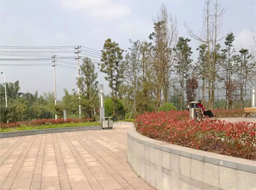 ��˳����������