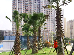 ��˳����������