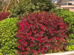 ��˳����������