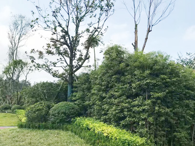 �Ĵ�ʡ�ڽ�����