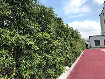 �Ĵ�ʡ�ڽ�����