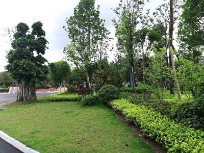 �Ĵ�ʡ�ڽ�����