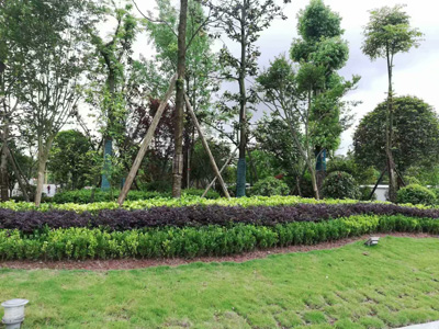 �Ĵ�ʡ�ڽ�����