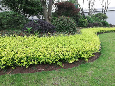 �Ĵ�ʡ�ڽ�����