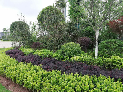 �Ĵ�ʡ�ڽ�����