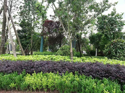 �Ĵ�ʡ�ڽ�����