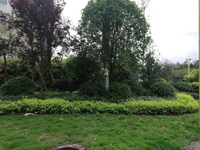 �Ĵ�ʡ�ڽ�����