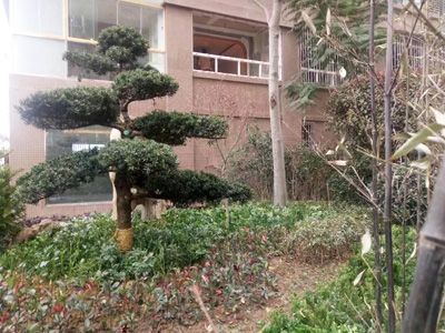 ����˽�һ�԰