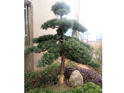 ����˽�һ�԰