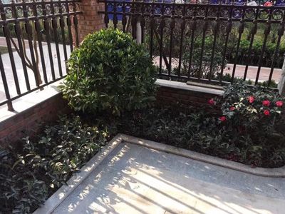 ����ɭ��˽�һ�԰