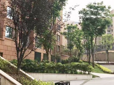 ��˳ ��������