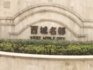 ��˳ ��������