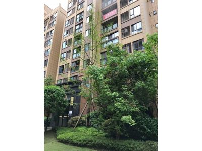 ��˳ ��������