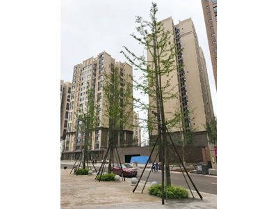 ��˳ ��������