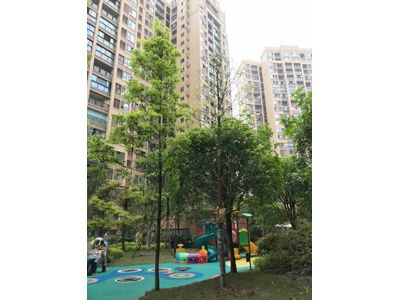 ��˳ ��������