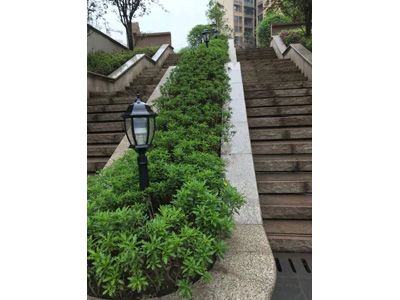 ��˳ ��������