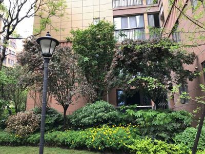 ��˳ ��������