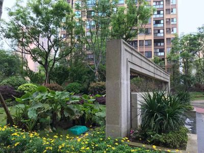 ��˳ ��������