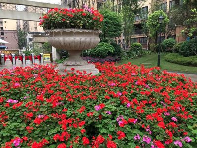 ��˳ ��������