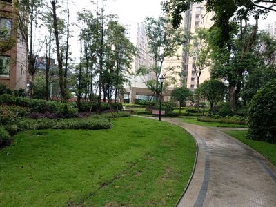 ��˳����������