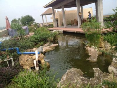 �Ĵ�������������ɷ����޹�˾--�칫�Ҵ�¥�ݶ���԰