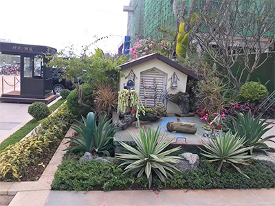 �ն����ʡ�ʱ����ͥ