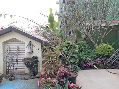 �ն����ʡ�ʱ����ͥ