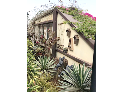 �ն����ʡ�ʱ����ͥ