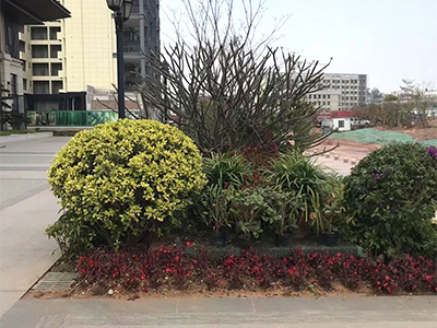 �ն����ʡ�ʱ����ͥ