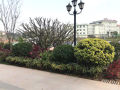 �ն����ʡ�ʱ����ͥ