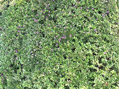 �ն����ʡ�ʱ����ͥ