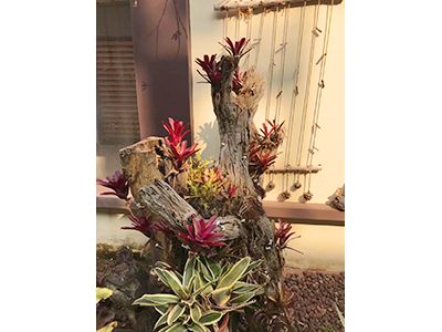 �ն����ʡ�ʱ����ͥ