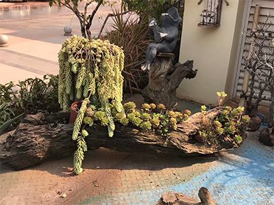 �ն����ʡ�ʱ����ͥ