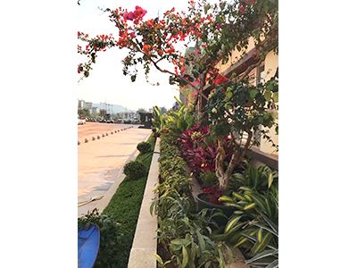 �ն����ʡ�ʱ����ͥ