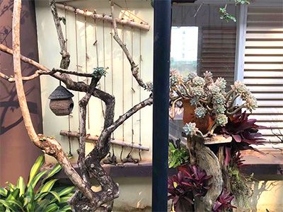 �ն����ʡ�ʱ����ͥ