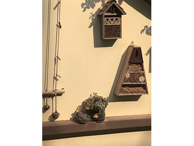 �ն����ʡ�ʱ����ͥ