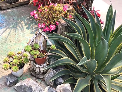 �ն����ʡ�ʱ����ͥ